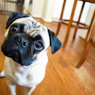 Myth buster: do weekly repayments pay off an offset loan faster?